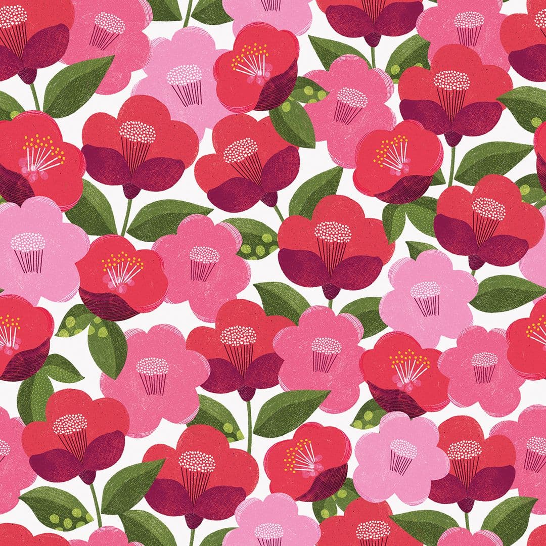 Illustration of brk0297 a blooming lovely camellia web