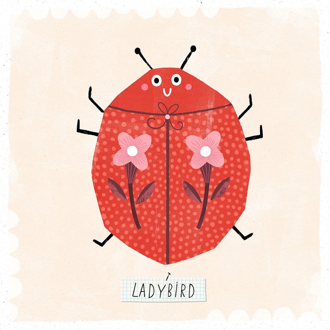 Illustration of brk ladybird motif web