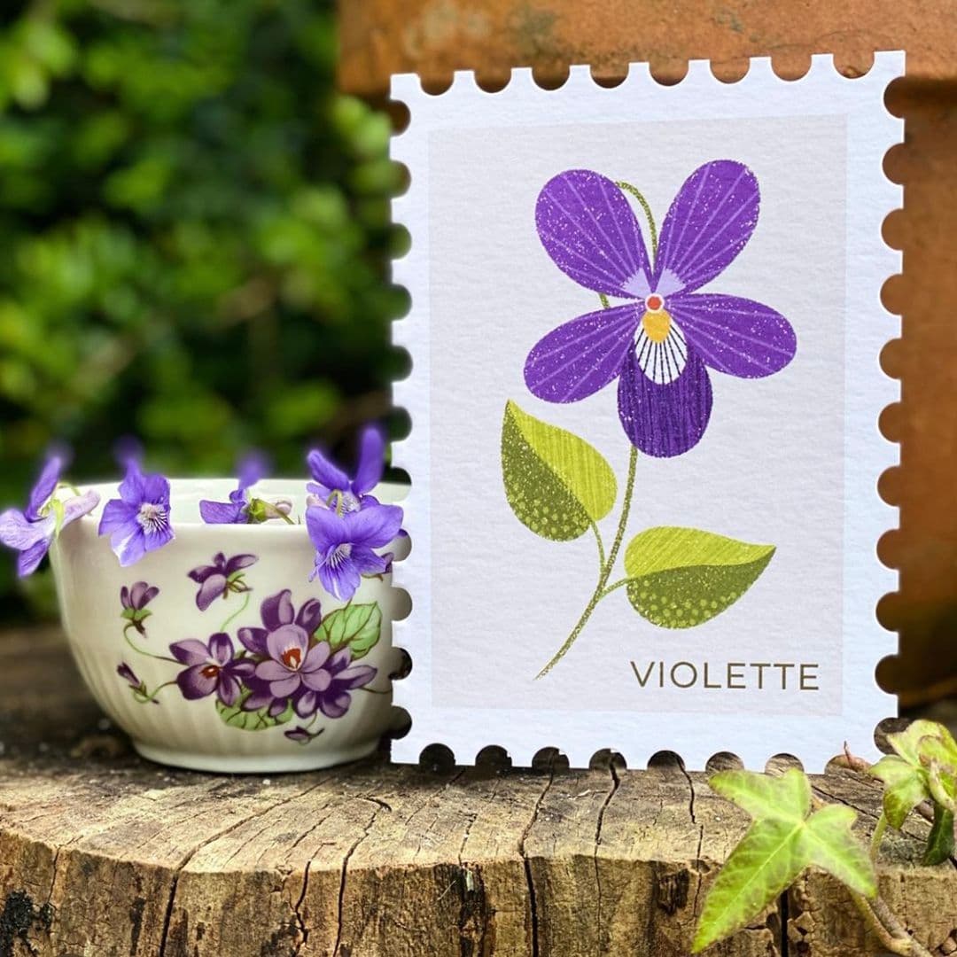 Illustration of brk0290 violette web