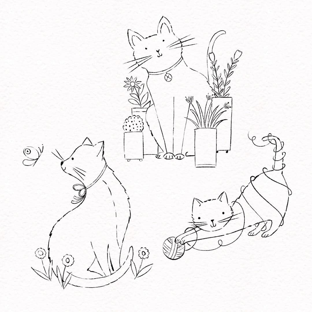 Illustration of brk cats web