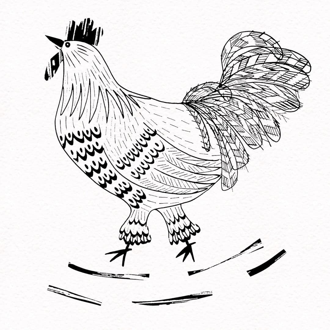 Illustration of brk chicken web